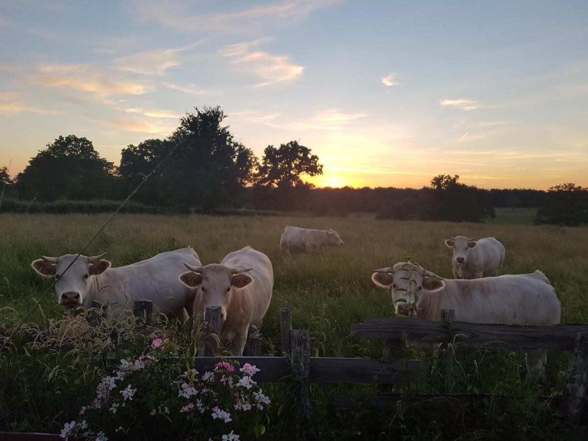 La Lisière du Morvan Magny-Lormes Extérieur photo
