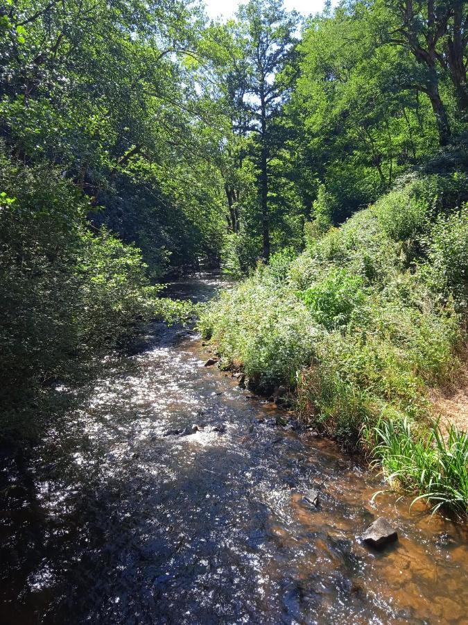 La Lisière du Morvan Magny-Lormes Extérieur photo